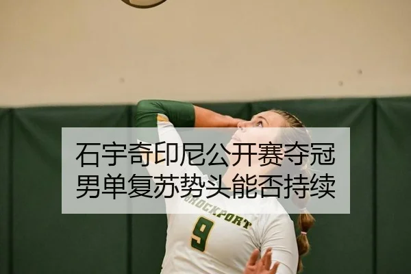 石宇奇印尼公开赛夺冠 男单复苏势头能否持续