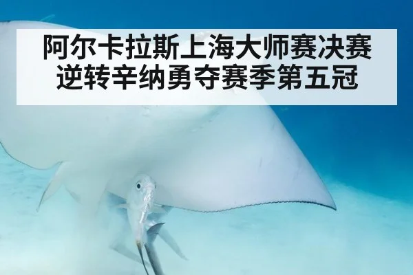 阿尔卡拉斯上海大师赛决赛逆转辛纳勇夺赛季第五冠