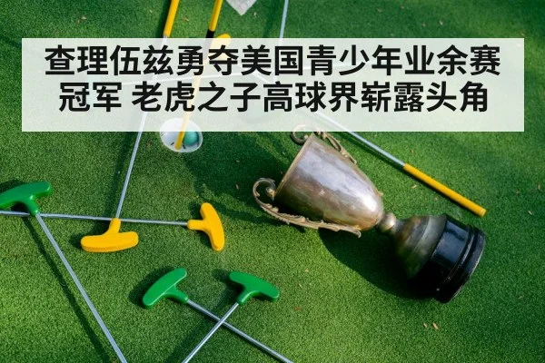 查理伍兹勇夺美国青少年业余赛冠军 老虎之子高球界崭露头角
