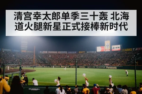 baseball stadium at night
